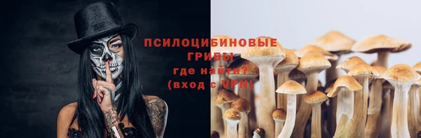 spice Баксан