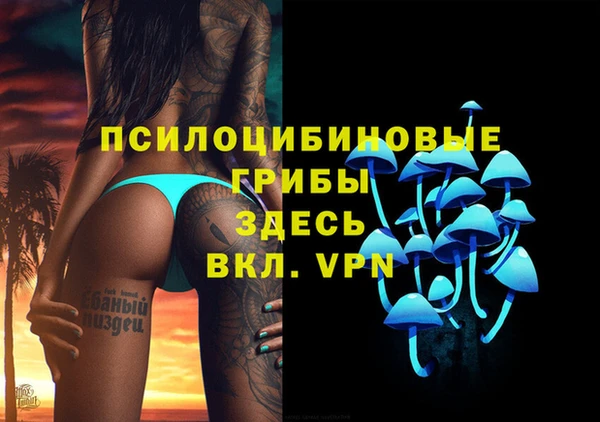 spice Баксан