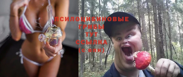бошки Балахна
