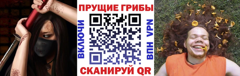 Псилоцибиновые грибы Psilocybe  Суворов 